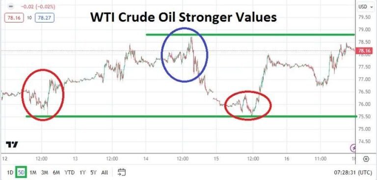 Crude Oil Weekly Forecast - 18/02: WTI Holds Near Highs