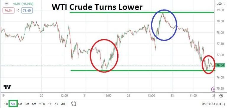 WTI Crude Oil Weekly Forecast - 25/02: Prices Dip to Support (Graph)