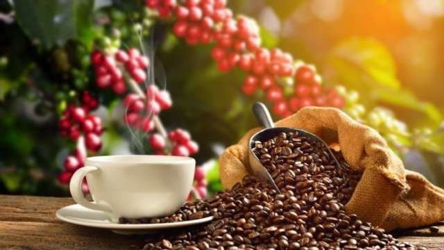 Coffee Arabica Weekly Forecast: Another Solid Pop Higher and Record Values Traversed