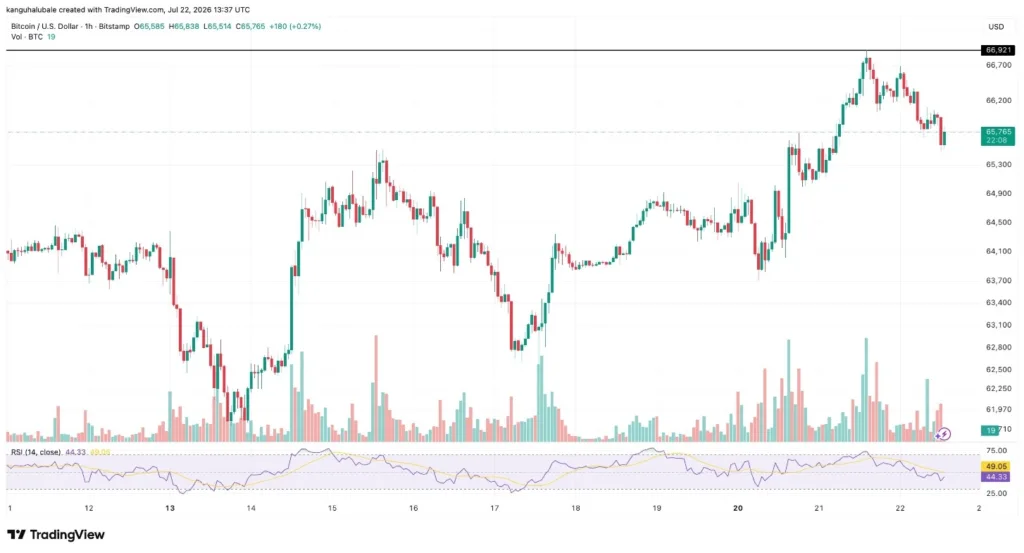 Bitcoin Reclaims $66K as Regulation On-Chain Data Support Trend - article illustration