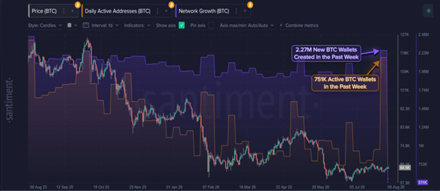 Bitcoin Network Adds 2.3M New Wallets as BTC Price Remains Range-Bound - article illustration
